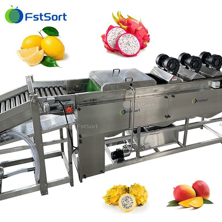 Hot Sale Dragon Fruit Washing Sorting Packing Line factory
