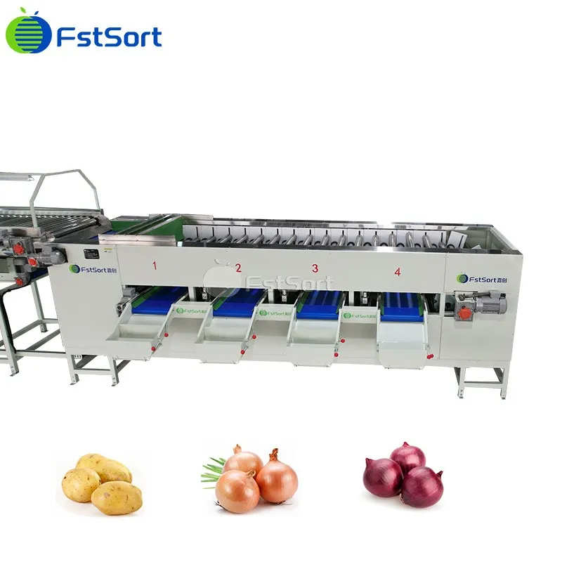 Onion Size Sorter Fstsort Onion Grading Equipment Onion Grader For Sale factory