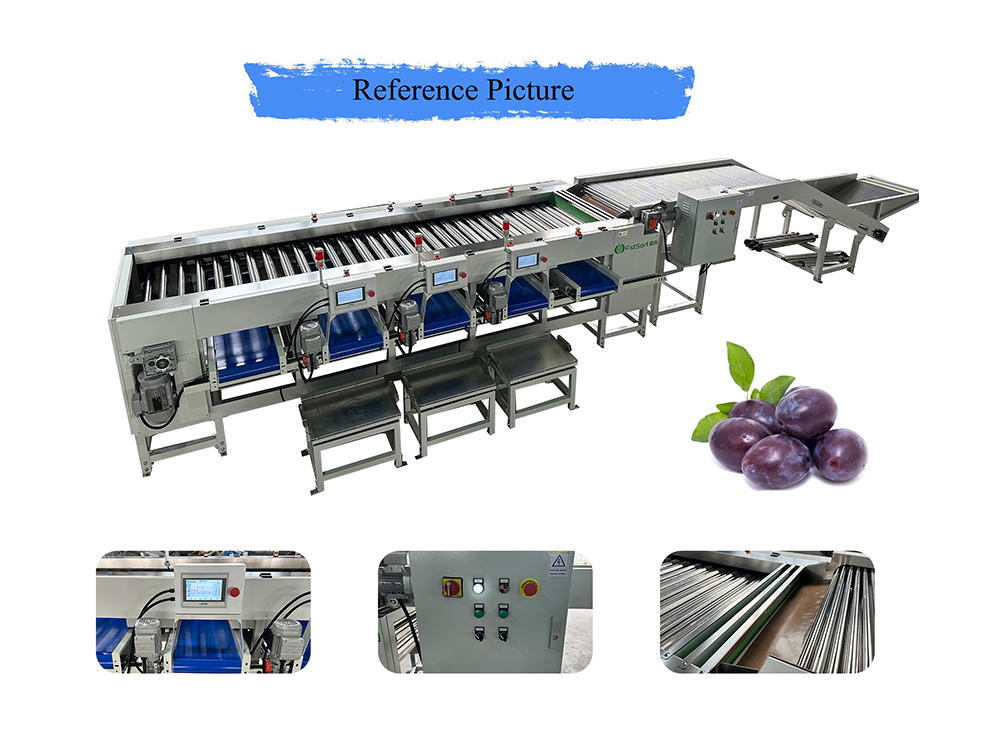 plum roller sorting